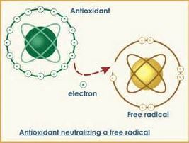 Cellular Nutrition and Meniere's Disease - image of free radical and antioxidant
