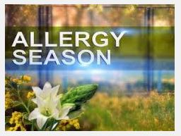 Stopping Meniere's Symptoms During Allergy Season - image of spring pollen