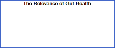 Gut health and Meniere's symptoms